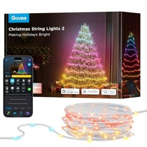 Govee 99FT Smart RGBW Christmas String Lights