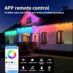 Smart RGB Outdoor Lights with App Control - 100FT