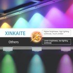 Smart RGB Outdoor Lights with App Control - 100FT