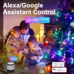 Smart WiFi Color Changing Christmas Lights - 262FT
