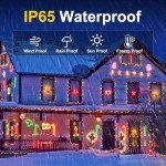 Smart WiFi Color Changing Christmas Lights - 262FT