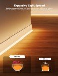 Govee Smart Neon Rope Light with Music Sync