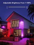 Govee RGBIC Outdoor LED Flood Lights