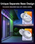 Lumary 53ft Smart Outdoor LED Lights for Holidays