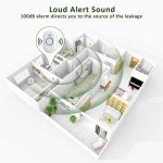 Smart Water Leak Detector and Alarm System
