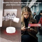 WiFi Water Leak Detector with 110dB Alarm