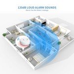 Wi-Fi Water Leak Sensor Alarm - 2-Pack