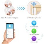 WiFi Door & Window Sensors - No Hub Needed