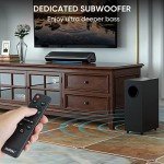 Saiyin 2.1 Sound Bar with Subwoofer for TV