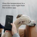 ecobee Smart Sensor 2 Pack for Home Comfort