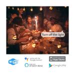 Minoston Heavy Duty Outdoor Smart WiFi Plug