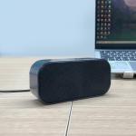 Shuley Wired Desktop Speaker for PC, Laptop