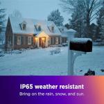 Roku Outdoor Security Camera with Night Vision