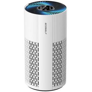 Large Room Air Purifier with True HEPA Filter