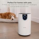 Shark HP132 Clean Sense Air Purifier - Small Room