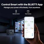 BLUETTI 300 Portable Power Station for Home & RV