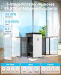 Large Room Air Purifier with True HEPA Filter