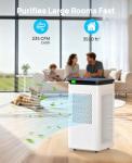 Large Room Air Purifier with True HEPA Filter