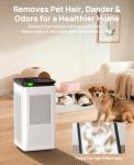 Large Room Air Purifier with True HEPA Filter
