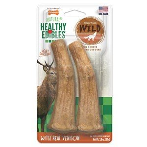 Nylabone Wild Venison Flavor Dog Chews - 2 Count