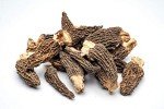 Gourmet Dried Morel Mushrooms - 15 Count