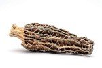 Gourmet Dried Morel Mushrooms - 15 Count