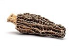 Gourmet Dried Morel Mushrooms - 15 Count