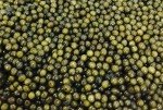 Gourmet Caviar Sampler: Ossetra, Siberian & Sevruga