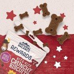 Natural Balance Grain-Free Bison Dog Treats 8oz
