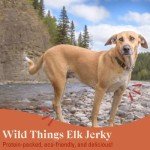 Otis Elk Jerky Dog Treats - 4 Ounce Bag