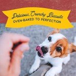 Natural Balance Grain-Free Bison Dog Treats 8oz