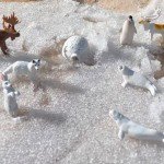 Safari Ltd Arctic TOOB with 10 Fun Figurines