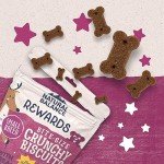 Natural Balance Grain-Free Venison Dog Treats