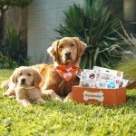 Nylabone Bison Flavor Chew Treats for Dogs