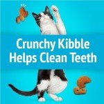 Purina Friskies Party Mix Cat Treats - Lobster & Mac 'N' Cheese