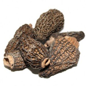 Dried Morel Mushrooms - 4 oz Bag