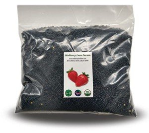 Organic Black Beluga Lentils - 5 Pounds