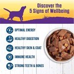 Thick & Chunky Venison & Salmon Dog Food 12-Pack