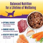 Thick & Chunky Venison & Salmon Dog Food 12-Pack