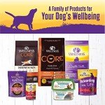 Thick & Chunky Venison & Salmon Dog Food 12-Pack