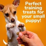Mini Dog Treats - Low Calorie Grilled Bison