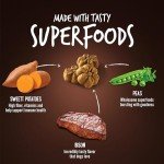 Mini Dog Treats - Low Calorie Grilled Bison