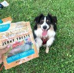 Evanger's Nothing But Natural Venison Jerky Treats for Dogs 4.5 oz Bag