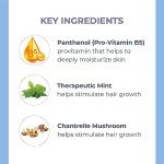 Derma E Biotin Thickening Spray – Volumizing Protein-Enriched Texturizer for Fine Hair with Panthenol, Therapeutic Mint and Chanterelle Mushroom, 3.3 Fl Oz