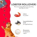 Shameless Pets Soft-Baked Dog Treats, Lobster Rollover - Natural & Healthy Dog Chews for Hip & Joint Support with Glucosamine - Dog Biscuits Baked & Made in USA, Free from Grain, Corn & Soy - 1-Pack