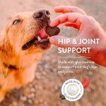 Shameless Pets Soft-Baked Dog Treats, Lobster Rollover - Natural & Healthy Dog Chews for Hip & Joint Support with Glucosamine - Dog Biscuits Baked & Made in USA, Free from Grain, Corn & Soy - 1-Pack