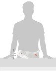 Wild Republic Beluga Whale Plush Stuffed Animal, Plush Toy, Gifts for Kids, Cuddlekins, 15 Inches