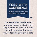 Natural Balance Limited Ingredient Rewards Jumpin' Stix, Grain-Free Dog Treats for Adult Dogs of All Breeds, Venison Recipe, 4 Ounce (Pack of 1)