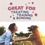 Natural Balance Limited Ingredient Rewards Jumpin' Stix, Grain-Free Dog Treats for Adult Dogs of All Breeds, Venison Recipe, 4 Ounce (Pack of 1)