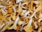 Seweryn Marinated Mushrooms Yellow Chanterelle Kurki Marynowane Glass Jar GMO Free 29.98 OZ / 850 gr from Poland